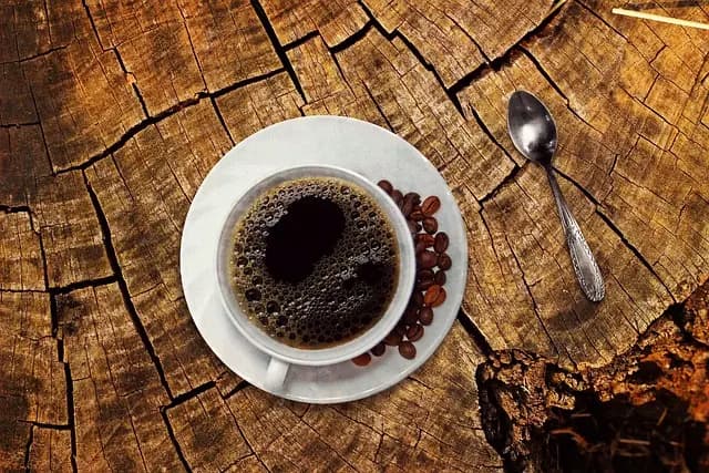 Guía de Compra: Mejores Cafeteras de Cápsulas